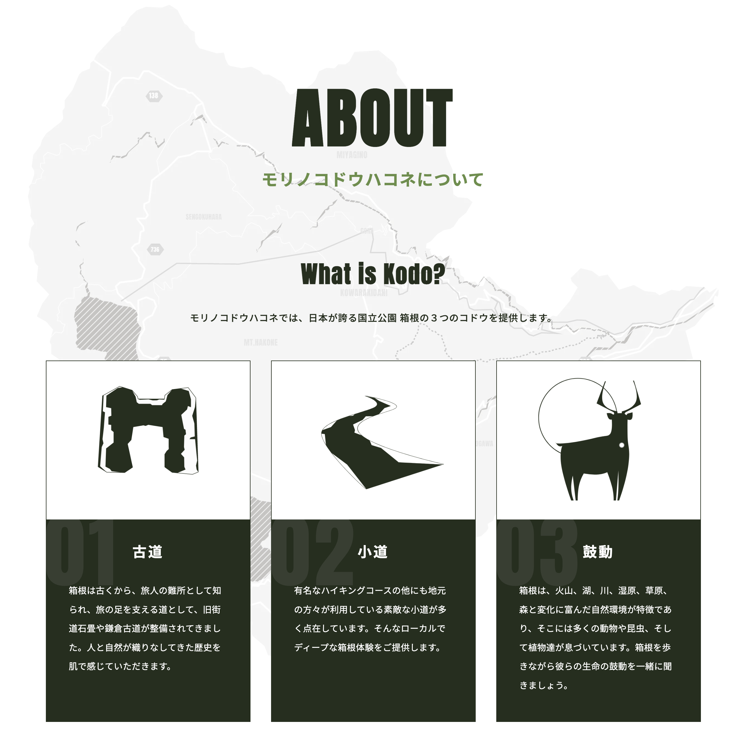 モリノコドウハコネについて